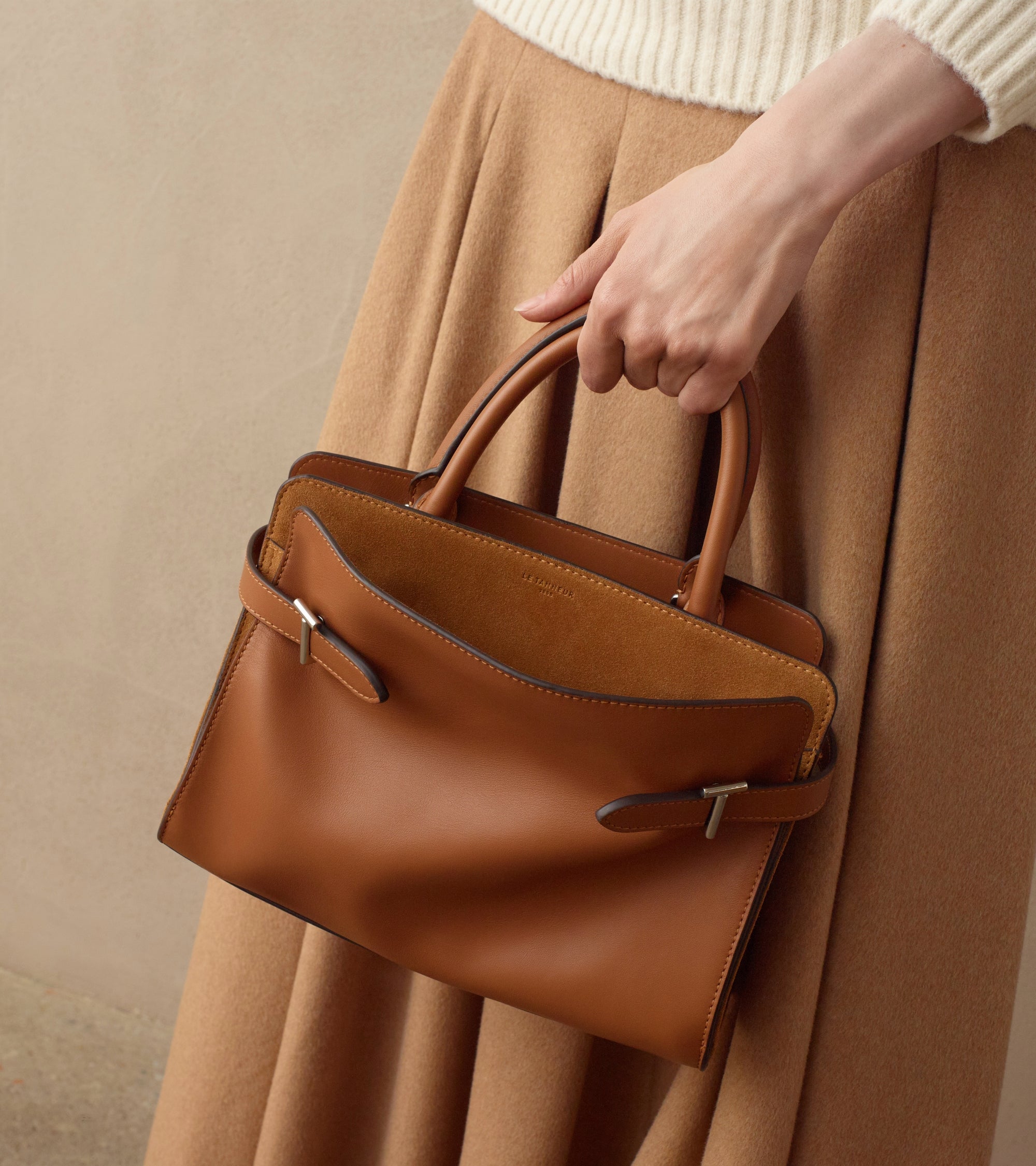 Emie medium handbag in smooth leather and nubuck